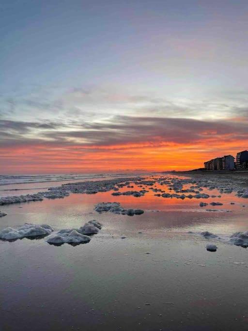 Face A La Mer, Appartement Rdc Bray Dunes Luaran gambar