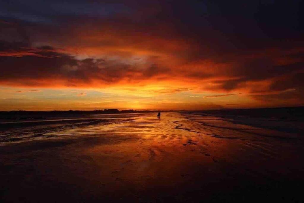 Face A La Mer, Appartement Rdc Bray Dunes Luaran gambar