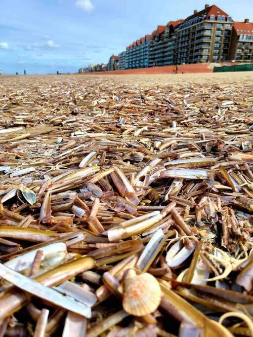 Face A La Mer, Appartement Rdc Bray Dunes Luaran gambar